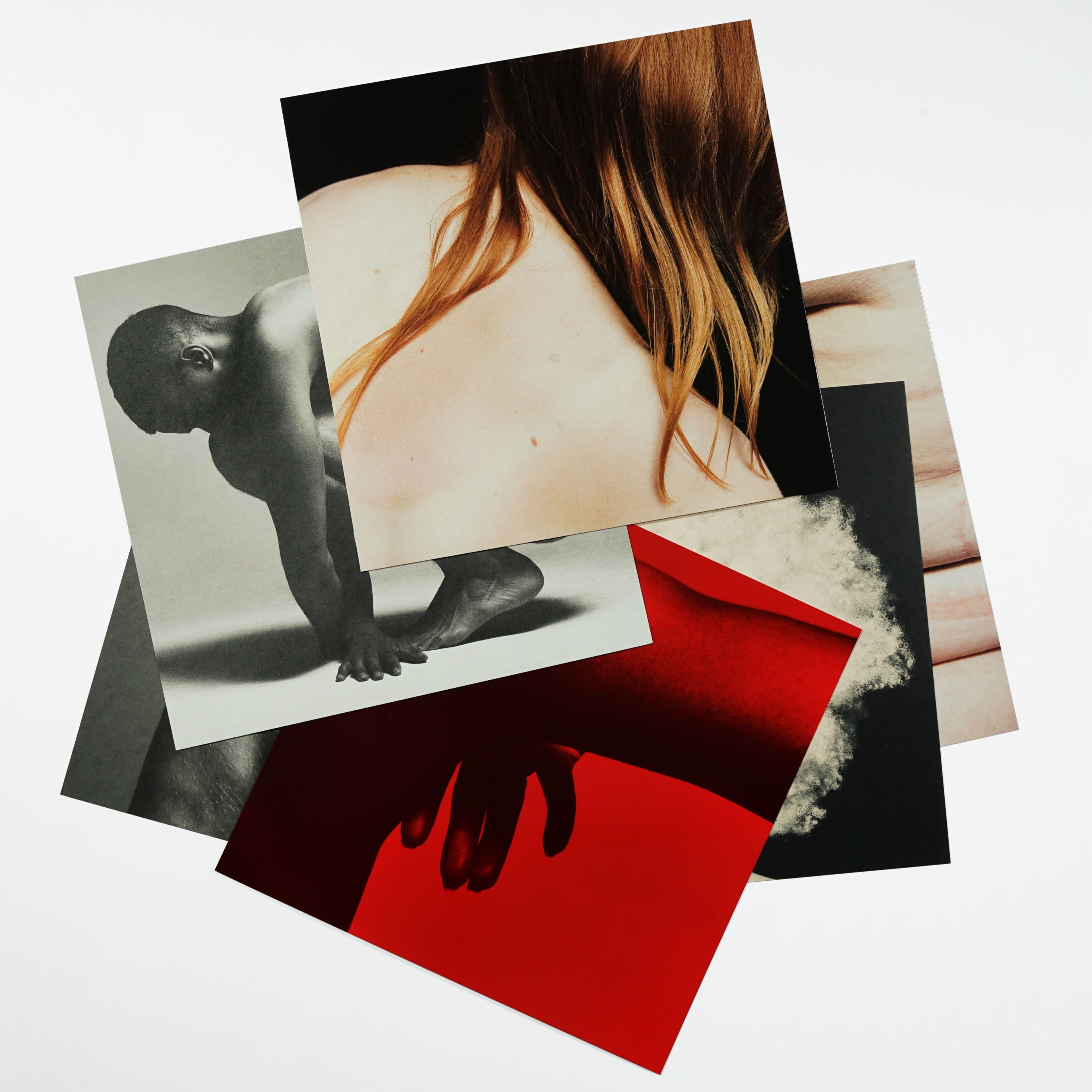 Max Papendieck’s Body of Work