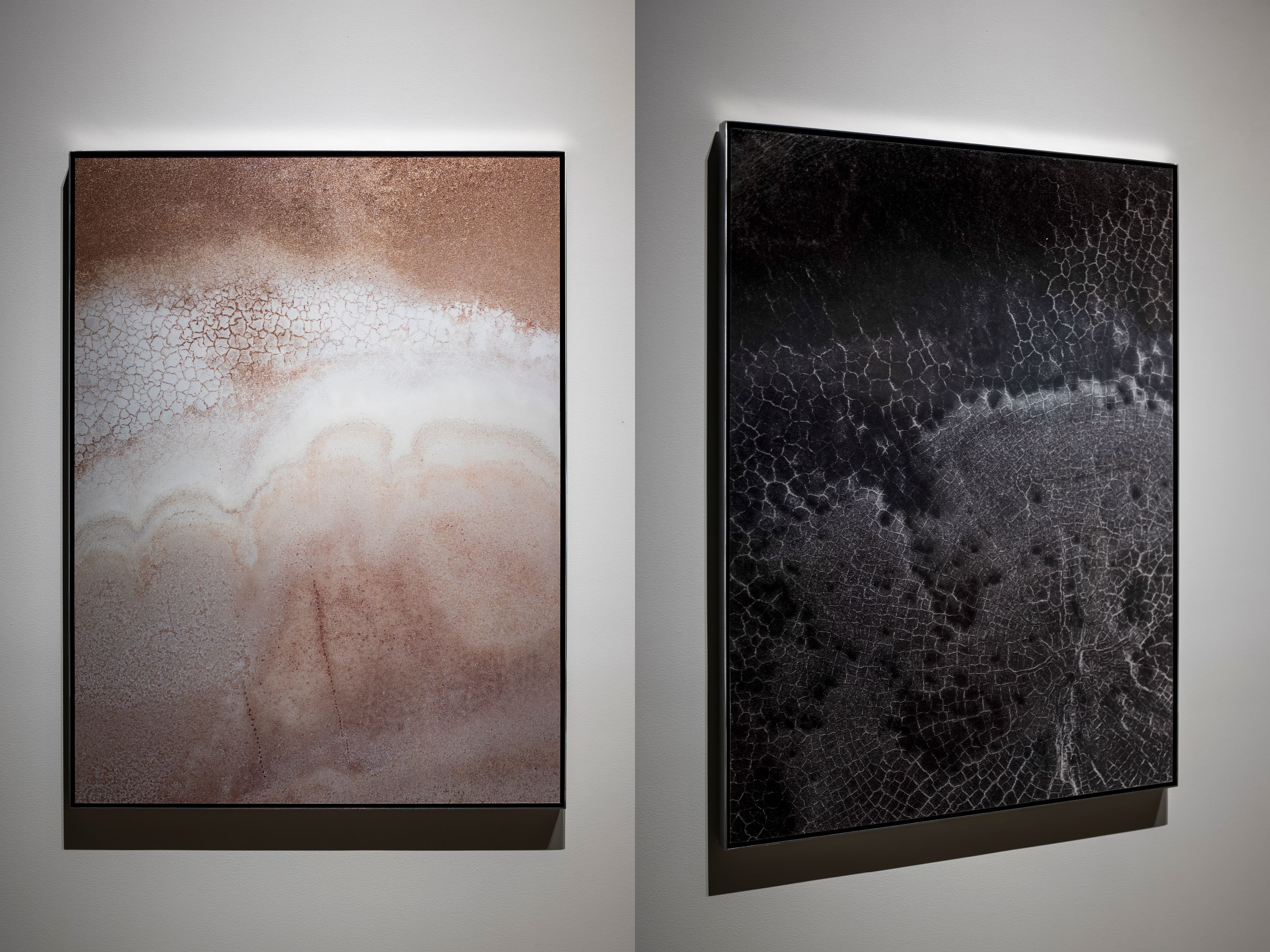 A Trip to Mars with Brooke Holm