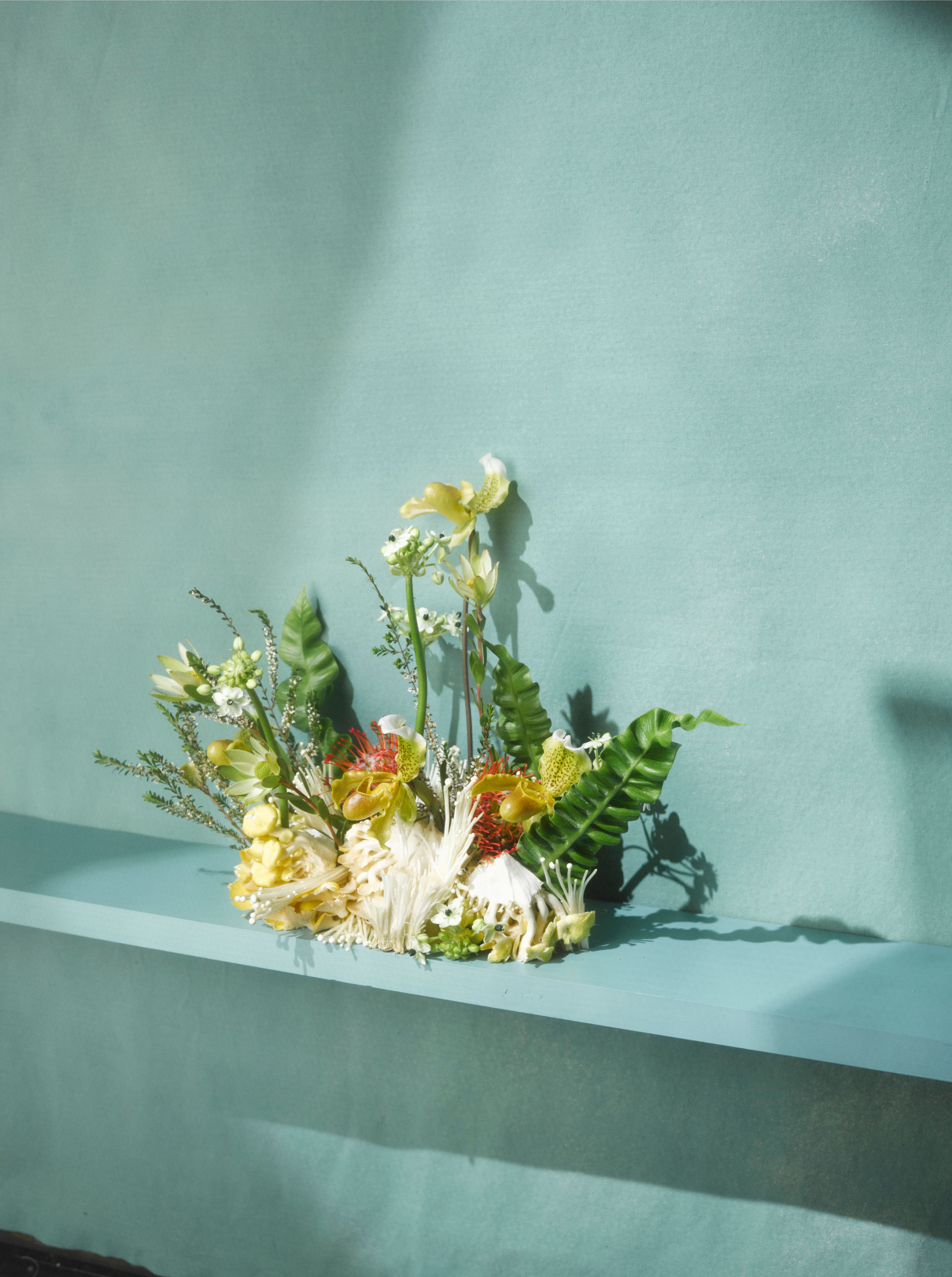 Venus slipper orchid, bird’s nest fern, oyster mushroom, enoki mushroom