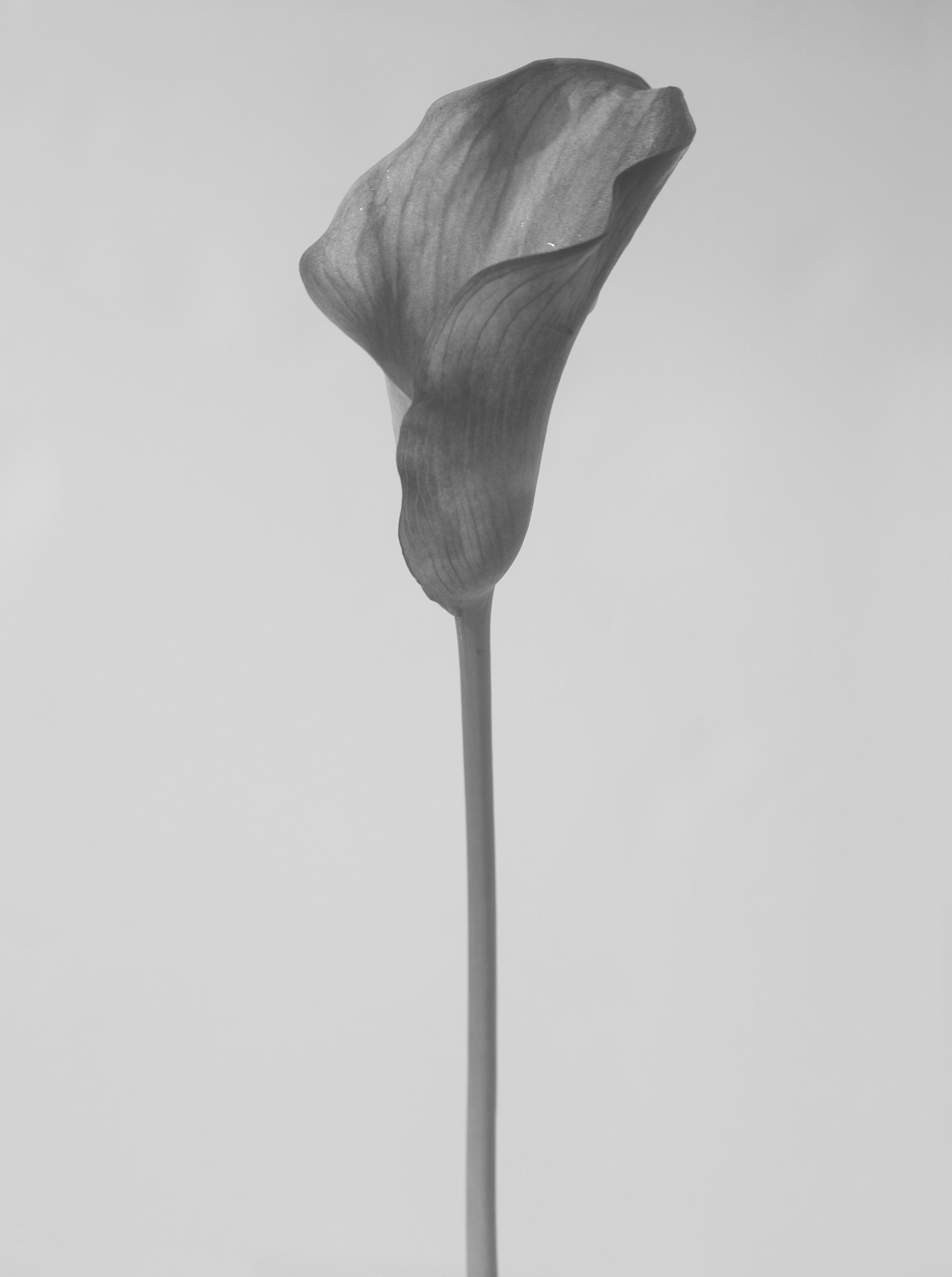 Amber Mark’s Music Crosses Multiple Dimensions