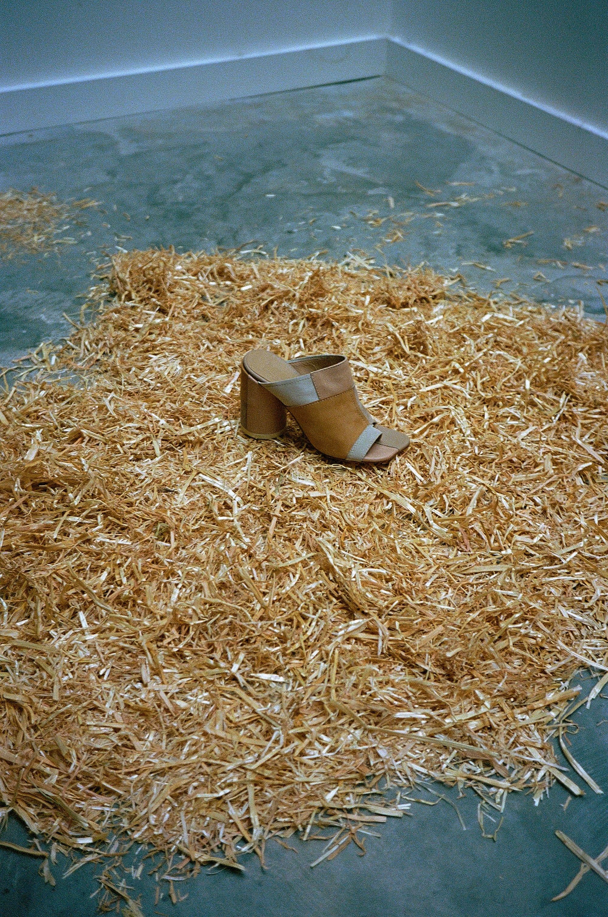 MM6’s Patchwork Pieces