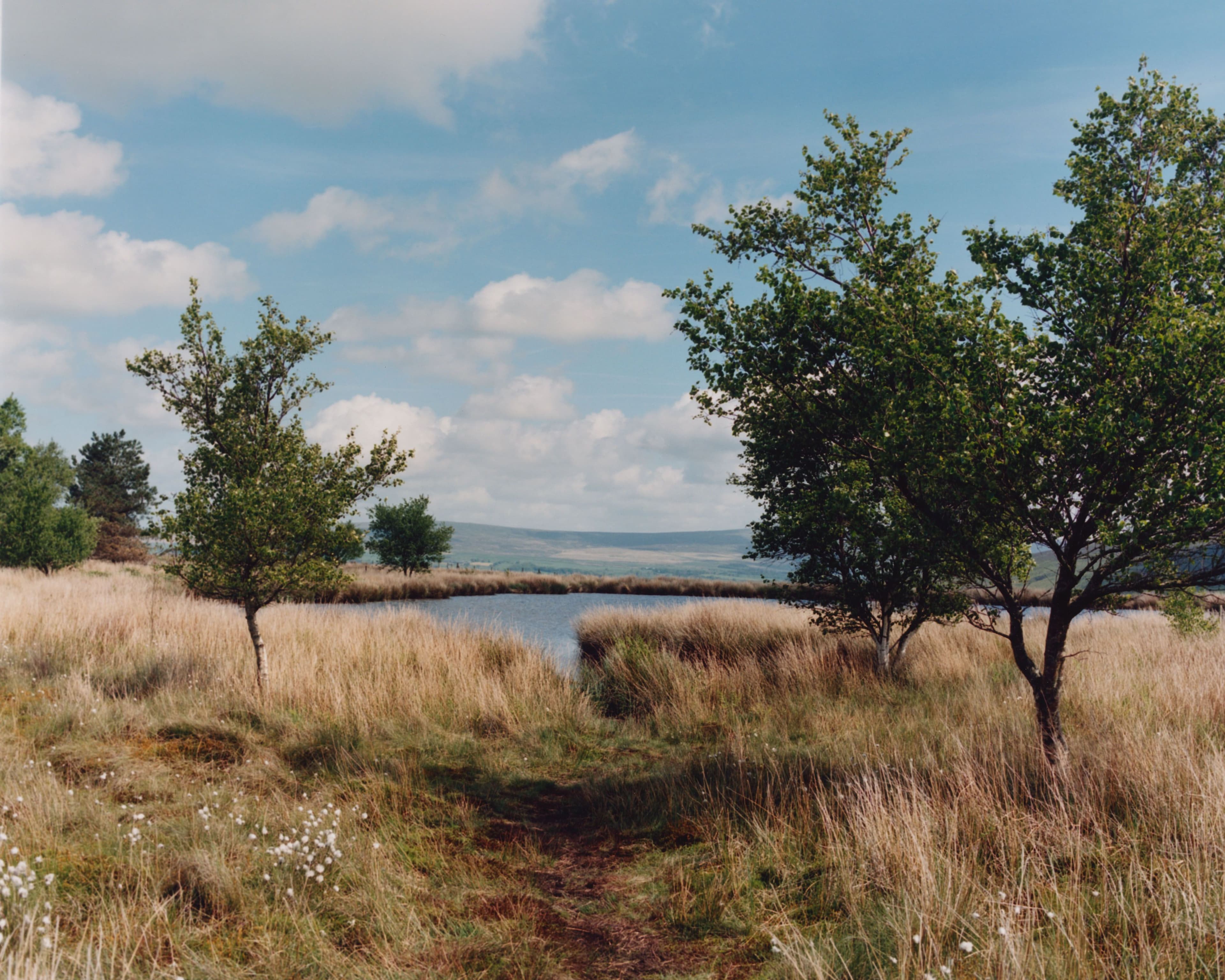 Andel Is Modeling a New Way Forward for Fashion