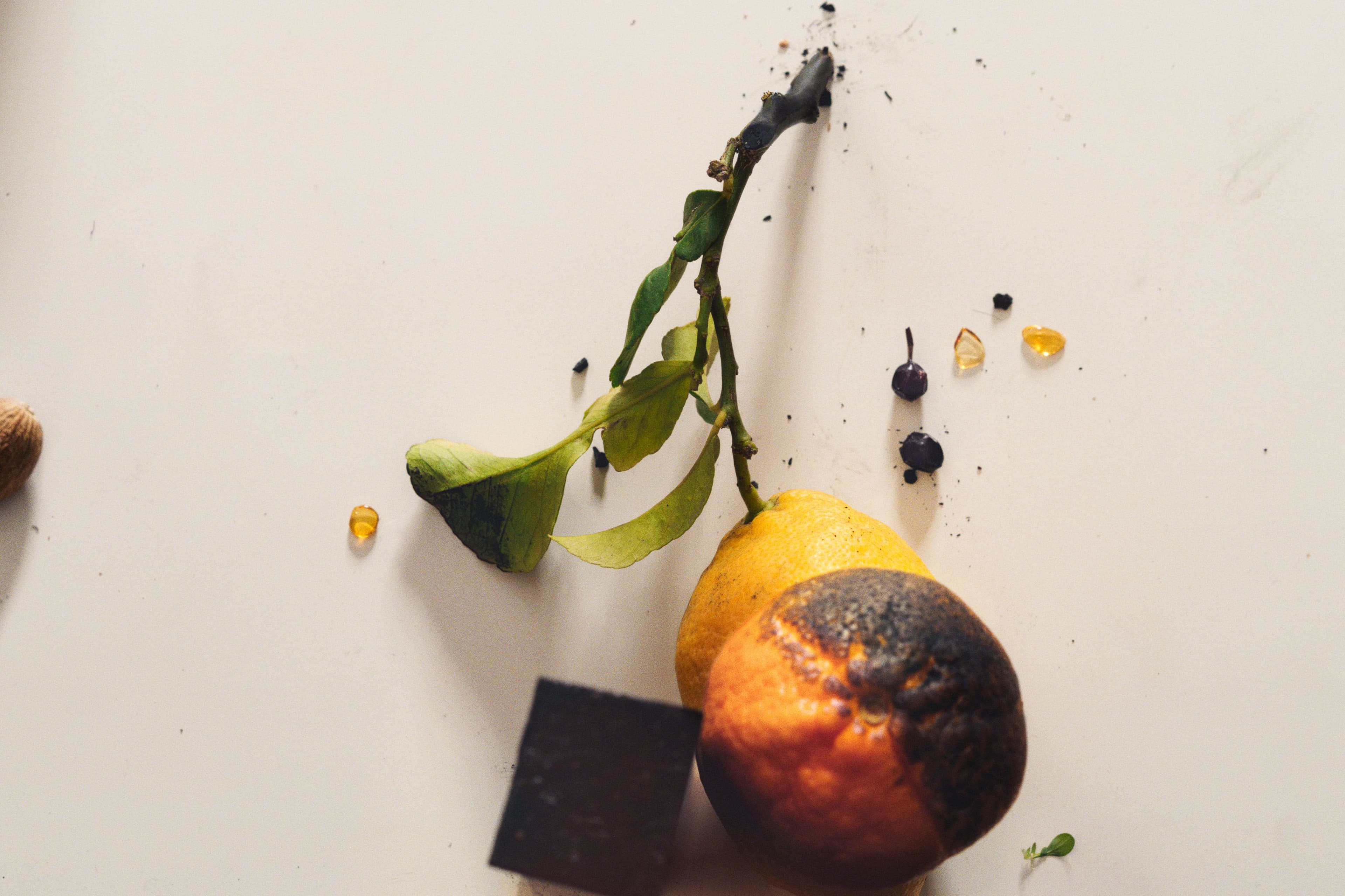 Elorea Redefines Luxury from an Asian Perspective