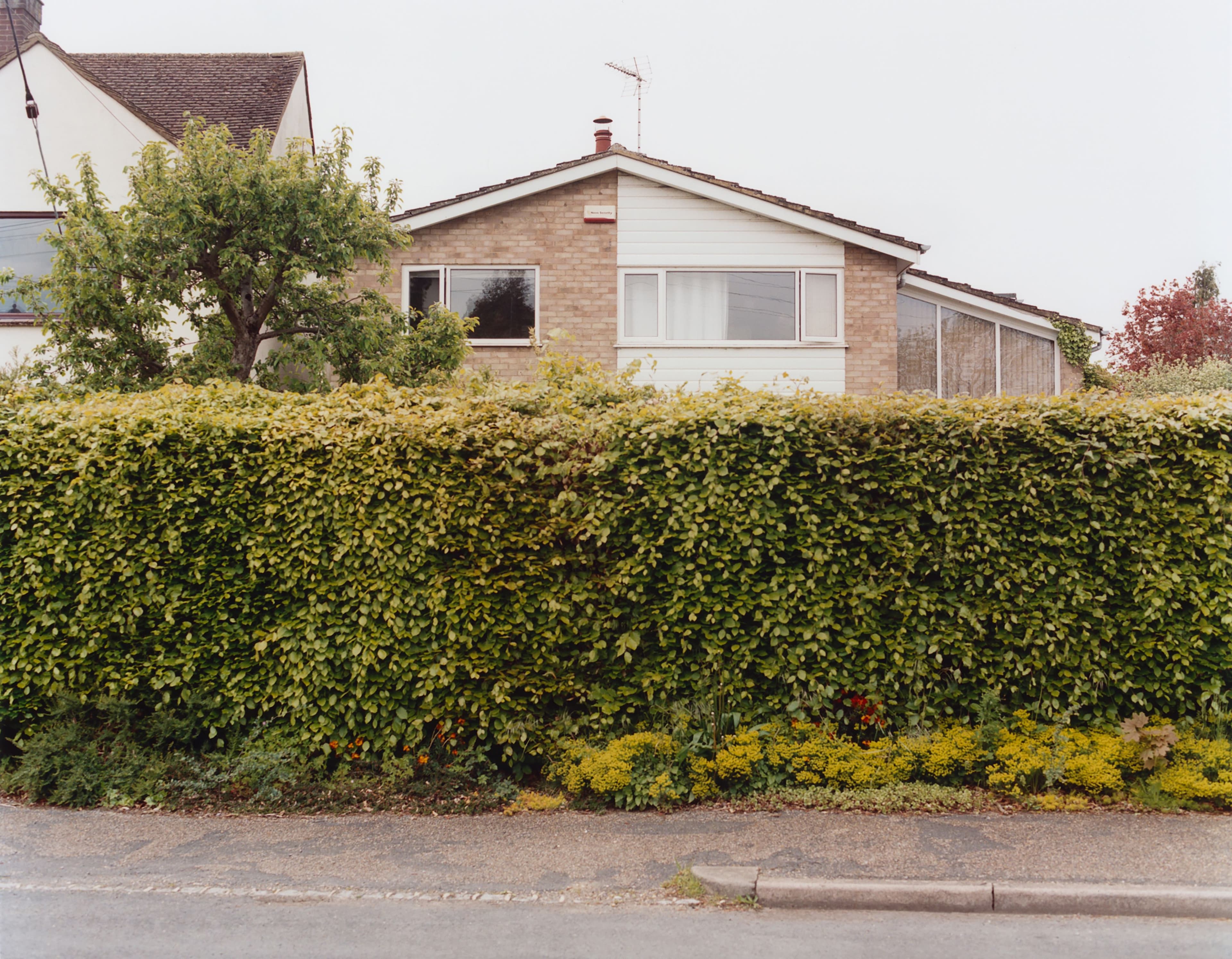 Alfie Templeman Is More Than Pop’s Next Big Thing